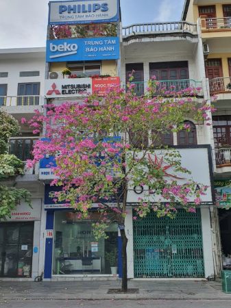 Hình ảnh cho nhà cung cấp Trạm bảo hành Ngọc Tuấn Quảng Ninh